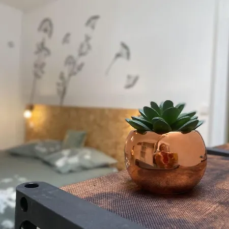 Homestay La Maison D'angelique: Gare-adjacent Colocation With Fiber & Netflix Niort
