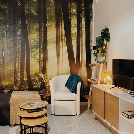 La Maison D'angelique - Coliving - Gare De * Niort