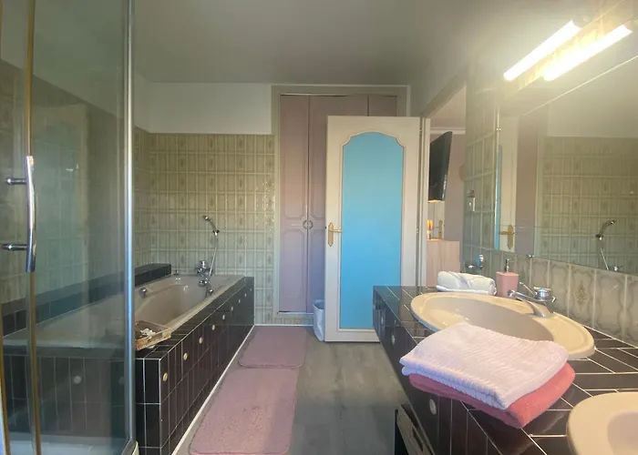 民宿 La Maison D'angelique - Coliving - Gare De 尼奥尔